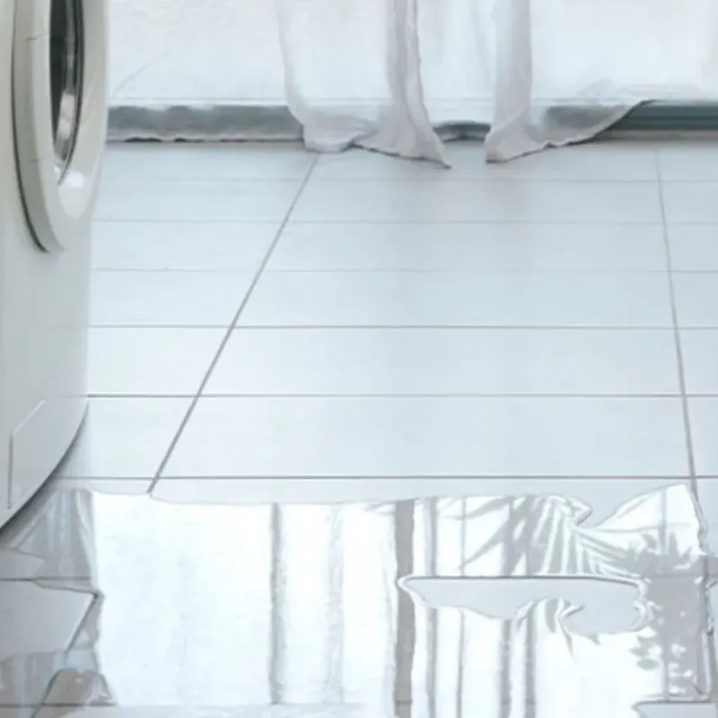 Appliance Leak Cleanup in Chevy Chase Village, MD