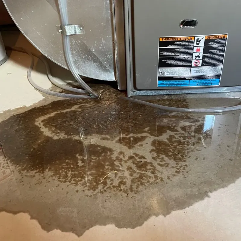 Pipe Burst and Leak Restoration in Chevy Chase Village, MD